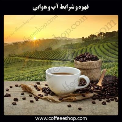 قهوه و شرایط آب و هوایی