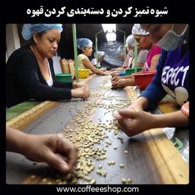 شیوه تمیز کردن و دسته‌بندی کردن قهوه (Sorting and Cleaning)