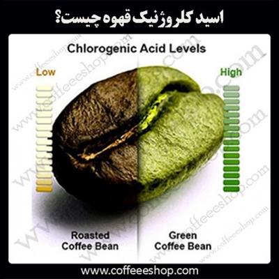 اسید کلروژنیک قهوه