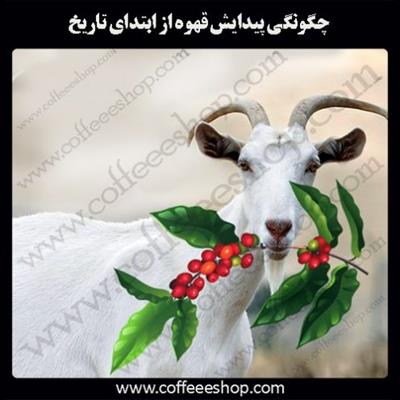 چگونگی پیدایش قهوه از ابتدای تاریخ
