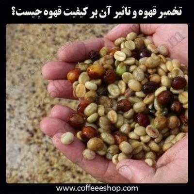 تخمیر قهوه و تاثیر آن بر کیفیت قهوه چیست؟