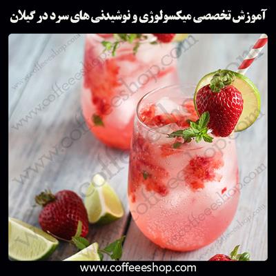 گیلان | آموزش تخصصی میکسولوژی و نوشیدنی های سرد در گیلان 