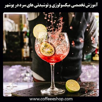 بوشهر | آموزش تخصصی میکسولوژی و نوشیدنی های سرد در بوشهر