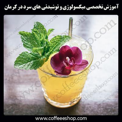 شهر کرمان | آموزش تخصصی میکسولوژی و نوشیدنی های سرد در کرمان