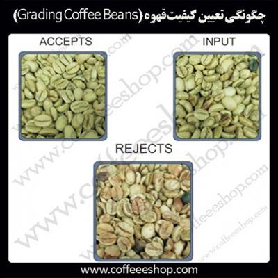 چگونگی تعیین کیفیت قهوه (Grading Coffee Beans)