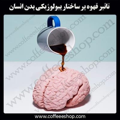 تاثیر قهوه بر ساختار بیولوژیکی بدن انسان